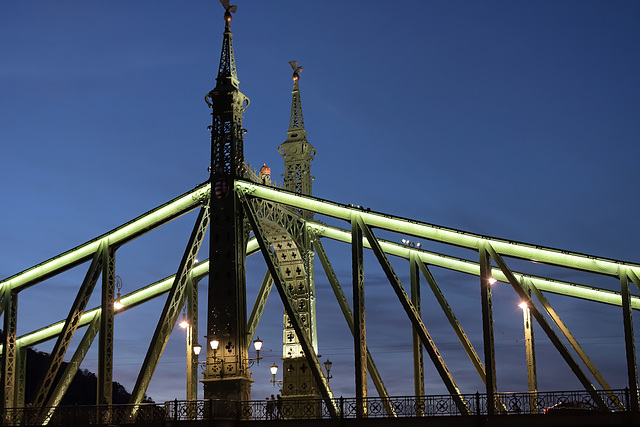 Budapest - The Liberty Bridge in the blue hour