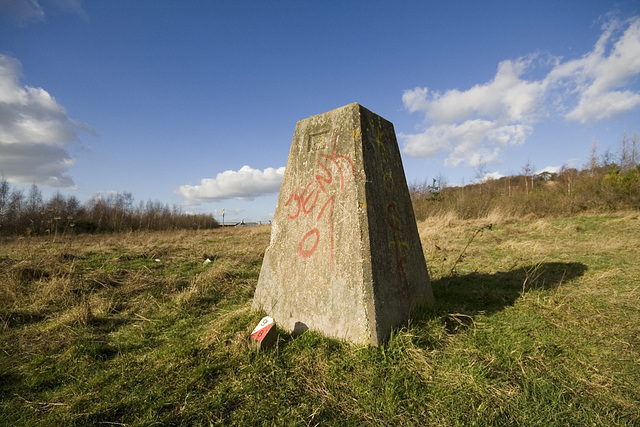 Cadeby Colliery upcast shaft (site of).