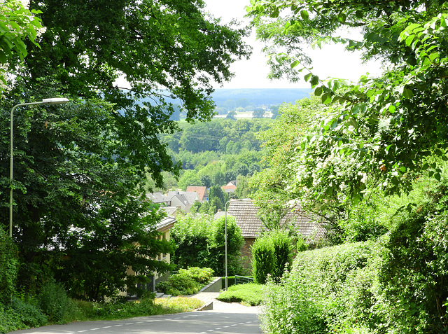 On top of the Hill road