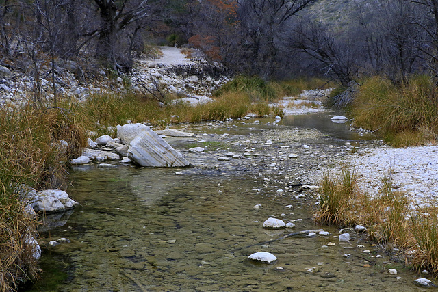 McKittrick Canyon