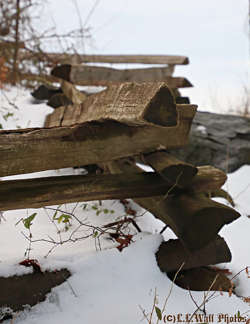 Worm Fence in the Snow