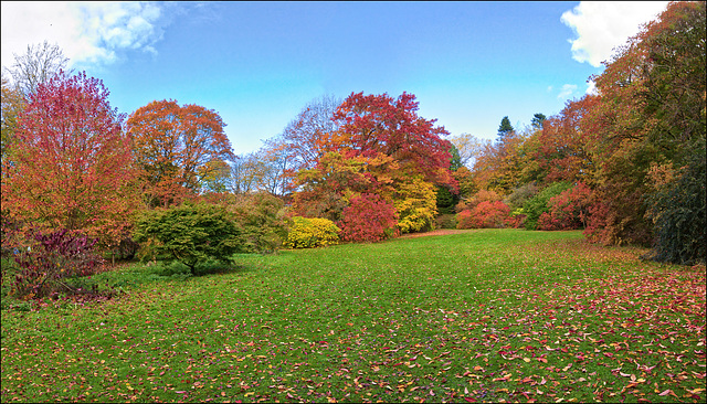 Thorp Perrow