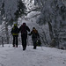 20250112 Raquettes Crêtes de Charande (Vercors) (95)