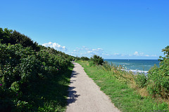 Spazierweg über der Steilküste bei Ahrenshoop (© Buelipix)