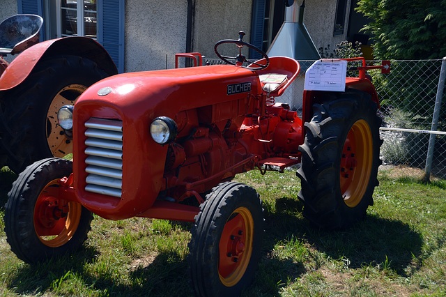Traktor Bucher 1956