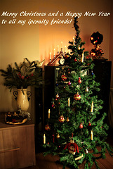 Merry Christmas and a Happy New Year!!