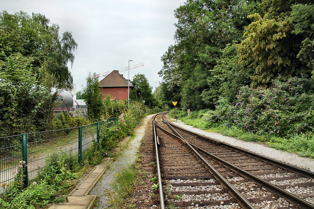 Hafenbahngleis am Fredenbaumpark (Hafen Dortmund) / 19.08.2023