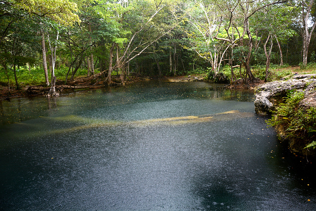 Dominican Republic, Blue Lake (Lago Azul) in the Jungle of Eastern Haiti