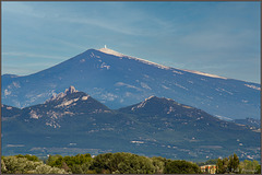 Der Mont Ventoux hinter den Dentelles de Montmirail