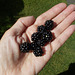 gdn[25] - picked some ripe ones