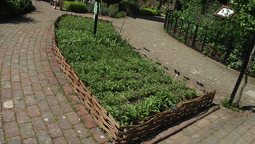 Very nice herb garden