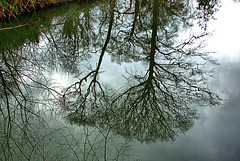 Reflection 8