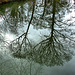 Reflection 8