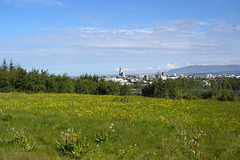 View Over Reykjavik