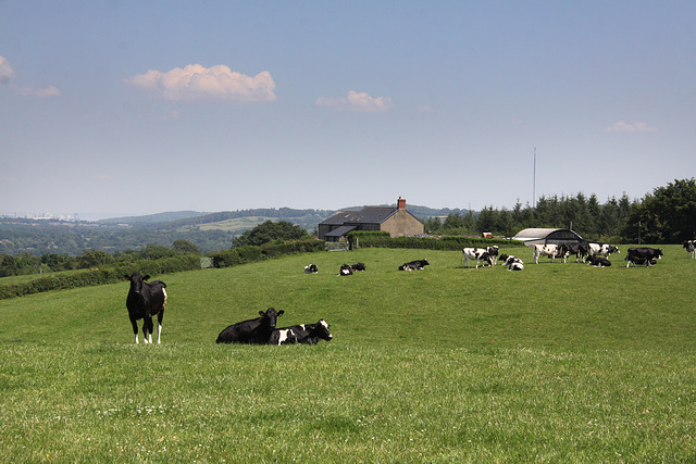 Countryside