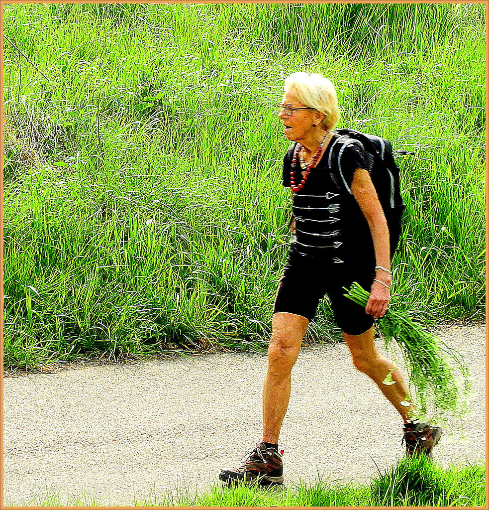 Elderly Hiker