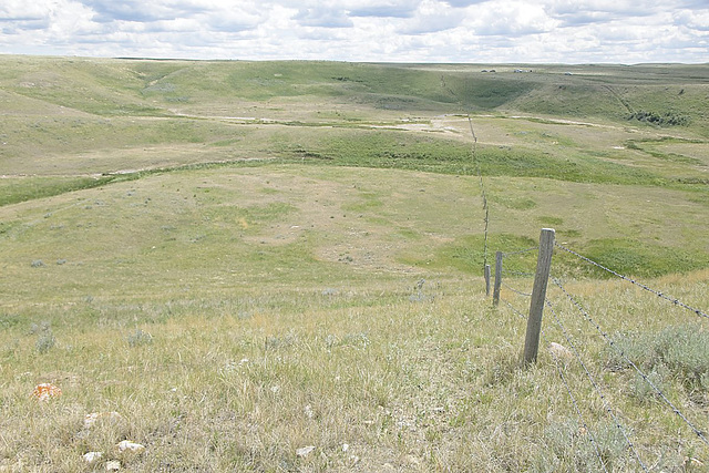 fenced in at Wideview