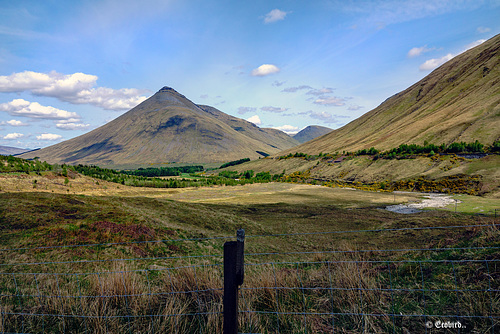 Majestic Munro