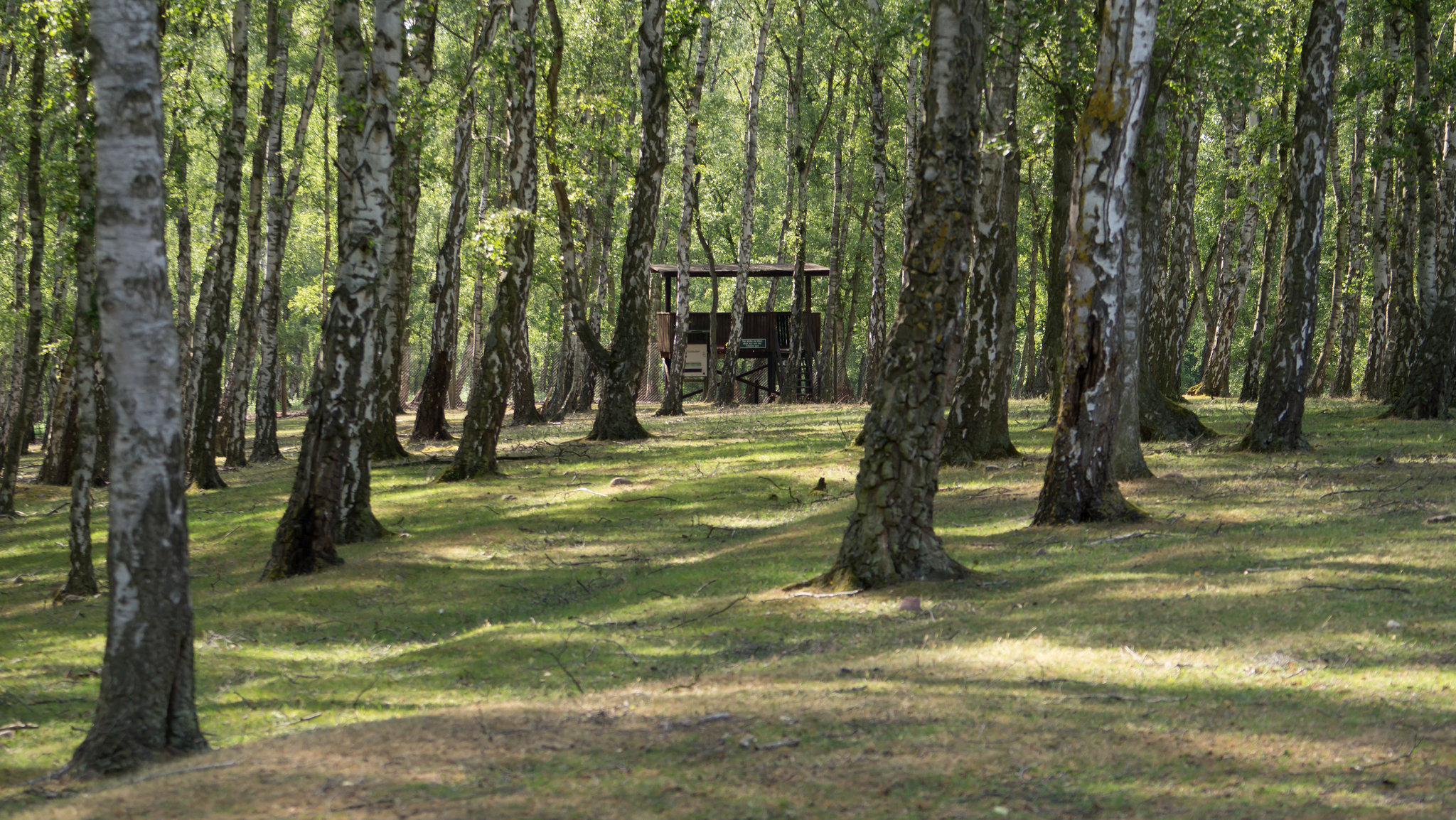 Hochwildpark Rheinland
