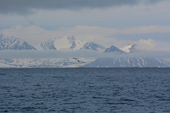 Svalbard, Flying above Van Mijenfjorden
