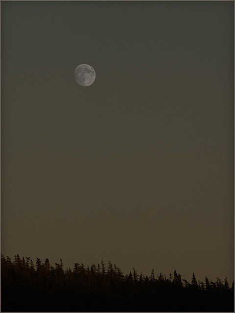 Last night's moon rising