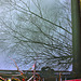 Reflection 7