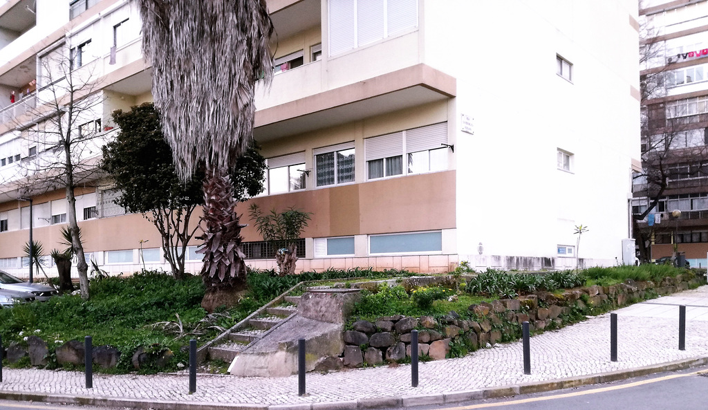 A small garden between Benfica's blocks - XIV