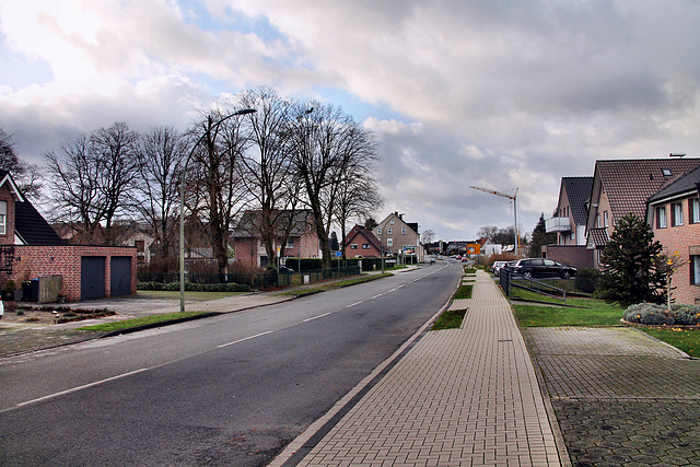 Flaesheimer Straße (Haltern-Bossendorf) / 26.12.2023