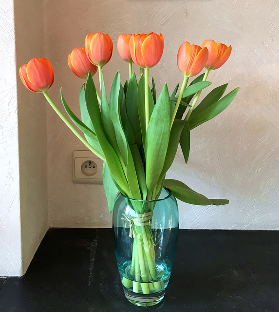 Le bouquet de tulipes