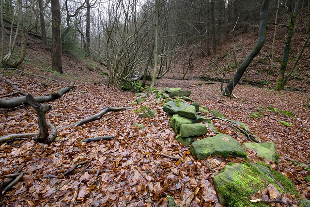 Mossy wall