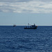 Fischerboote