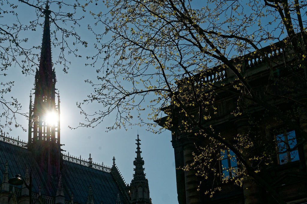 Sainte-Chapelle et premiers bourgeons