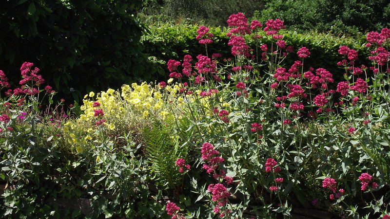 The entrance into the wild gardens