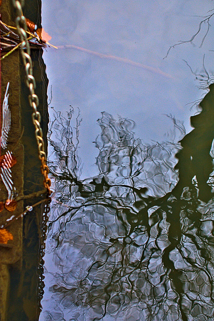 Reflection 5