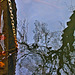 Reflection 5