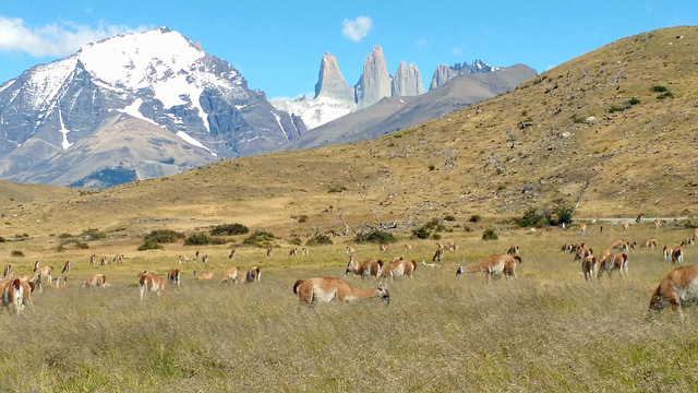 Torres del Paine - Patagonia