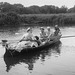 Boys in Boats-IMG 2050-1