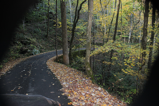 Lovely Mountain drive through Roaring Fork Trail...Gatlinburg, Tennessee,    USA  (forgive the shadows from car window)