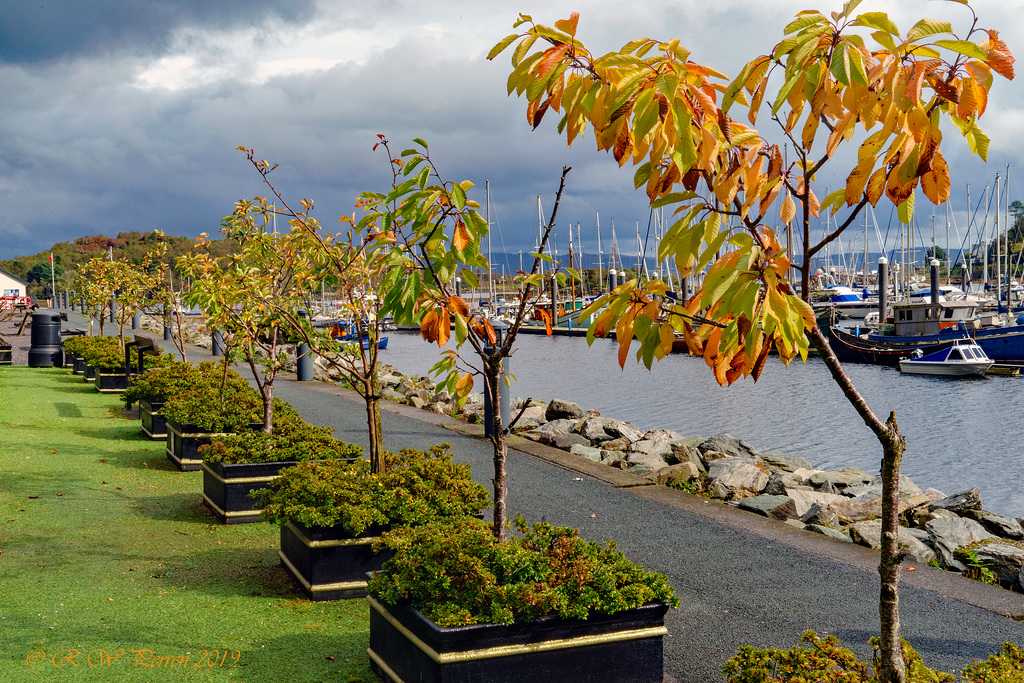 Autumn in Pots