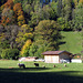 Sheep pasture with autumn forest in the background.