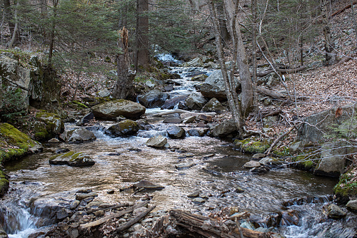 Hacklebarney State Park