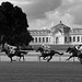 Course à Chantilly