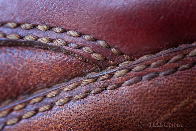 Macro Mondays:  Leather