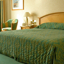 Nos deux années à ABU DHABI Nos deux années à ABU DHABI