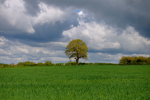 Big skies over Gnosall