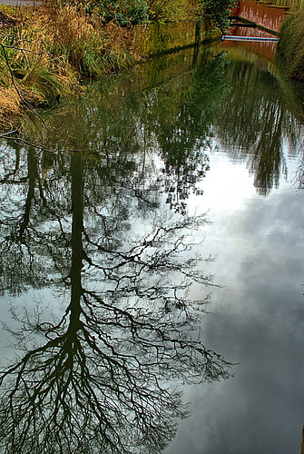 Reflection 4