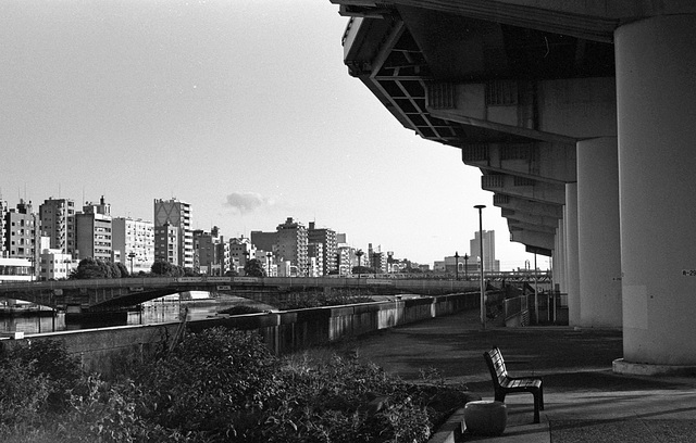 Morning sun in downtown Tokyo