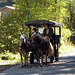 Horse-drawn carriage on the way down into the valley.