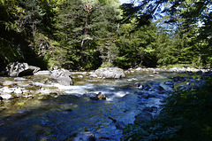 vers le pont d'espagne (Pyrénnées)