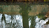 Reflection 3